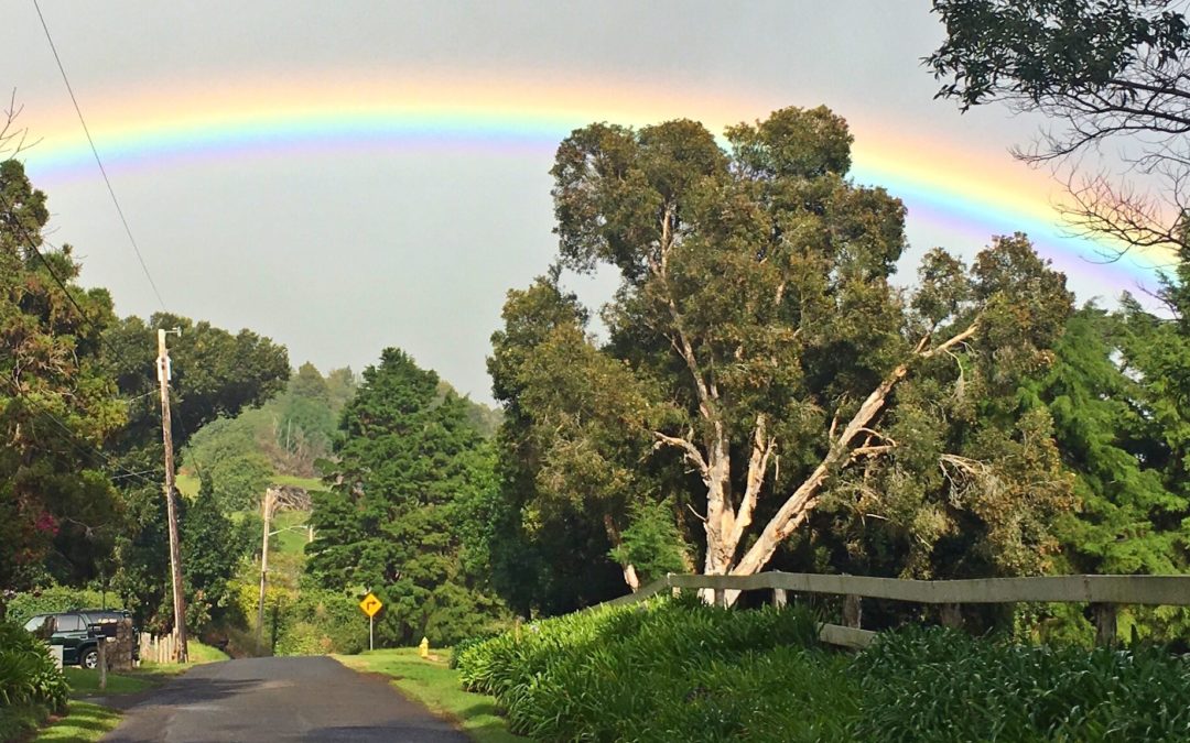 Chasing Rainbows